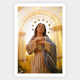 Our Lady of Conception Sticker